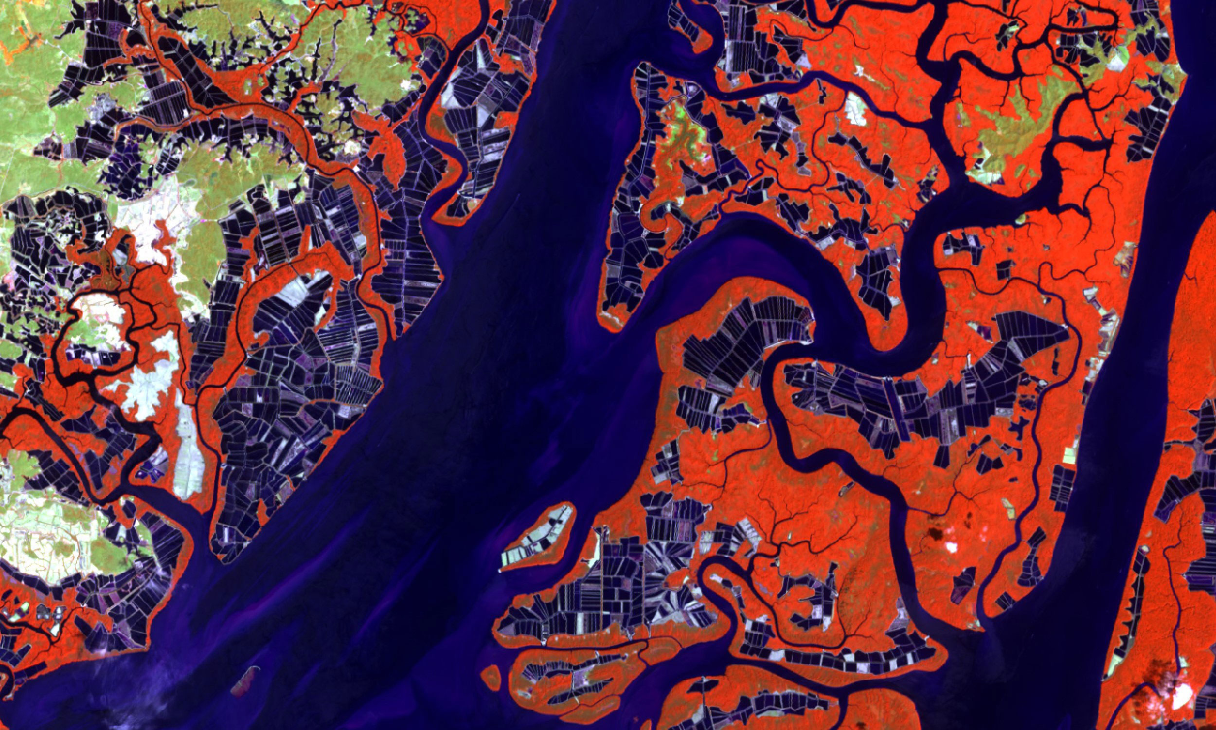 Satellite image for an area in Guayaquil, Ecuador that is a major aquaculture area
