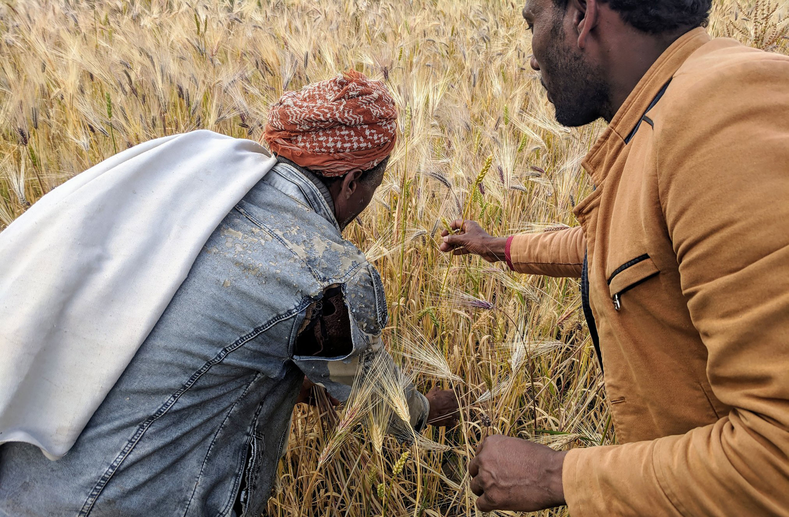 Department of Sustainability and Social Justice launches with focus on global challenges