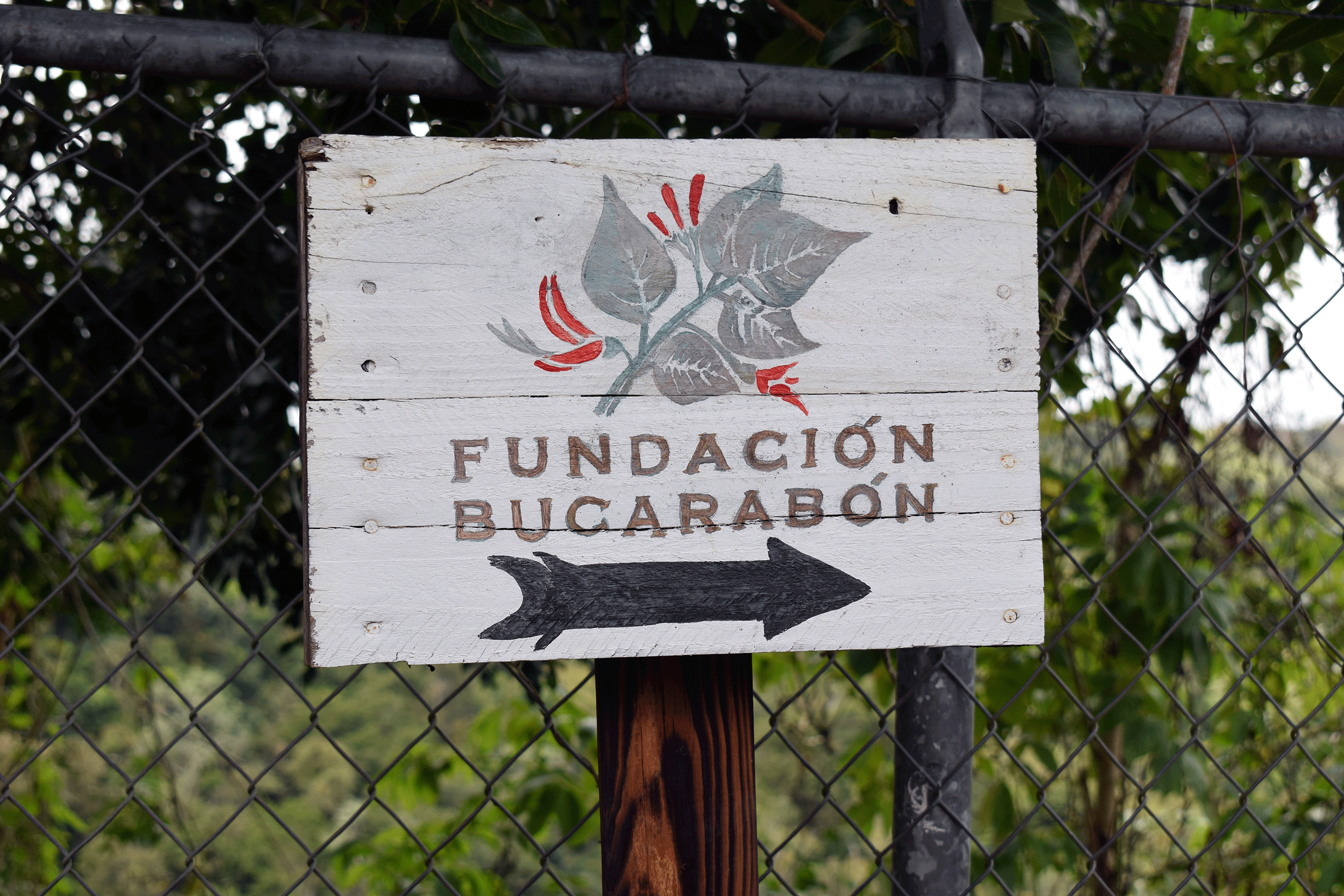 Building resilience in Puerto Rico: ‘You have to do things for yourself’