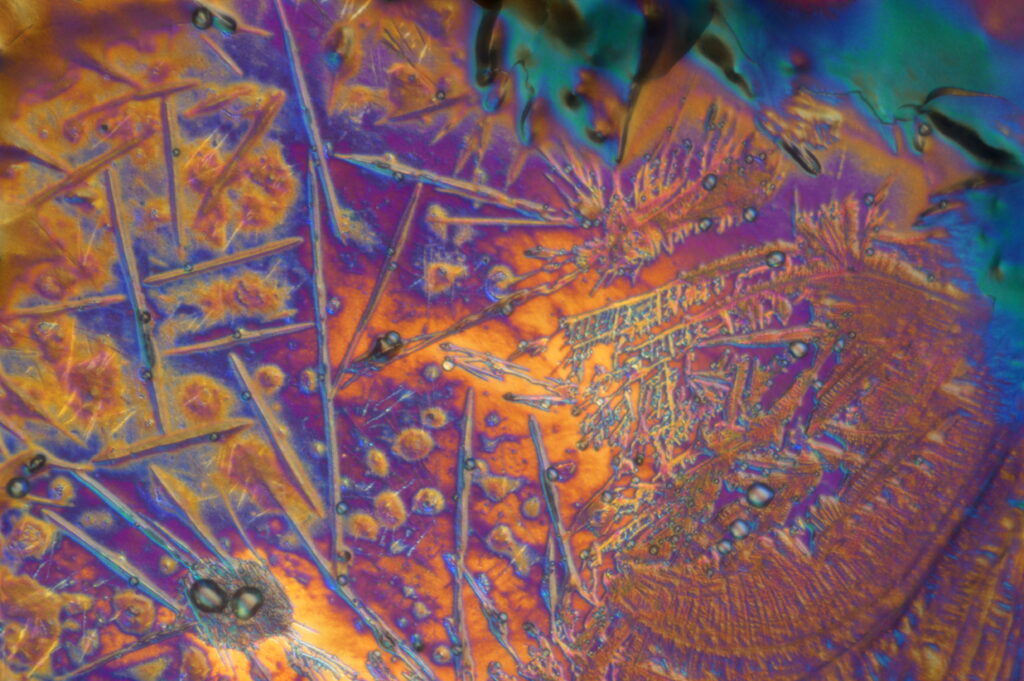 Katelynn Humphrey ’25 conducted controlled experiments and observed the formation of polymer chains under a microscope. Her photos show polymer crystals, which vary in shape, size, and color, depending on the time, temperature, freshness, and concentration/ratio of chemicals — ethanol and ferric chloride — in a solution that she applied during the process. (Photos by Katelynn Humphrey ’25, using a Nikon Eclipse 100ND microscope and NIS-Elements Basic Research software)