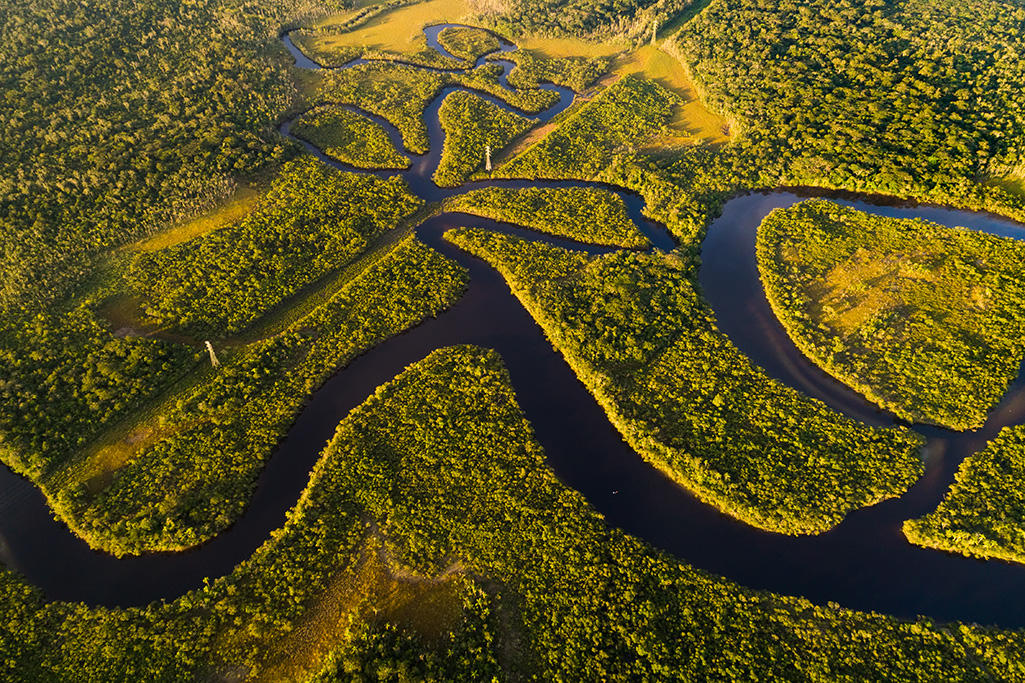 Graduate scholars earn Sussman Fund awards to support environmental research