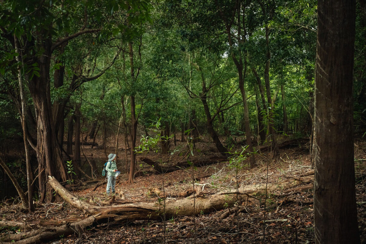 Geography Professor Florencia Sangermano conducts research in a forest