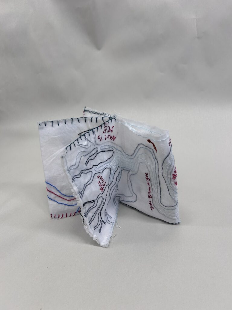 fabric book