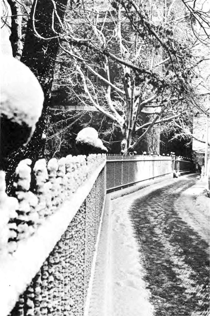 A snowy campus, 1967