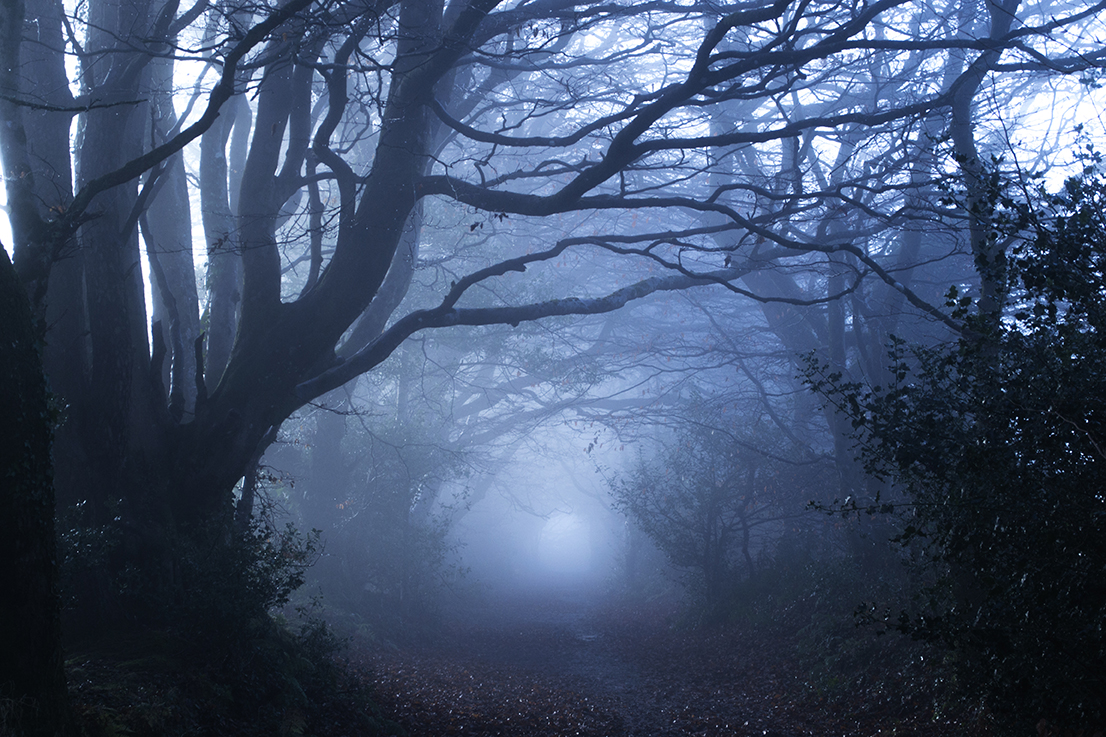 Witchy words; wicked ways. Clark goes all in on Halloween stories