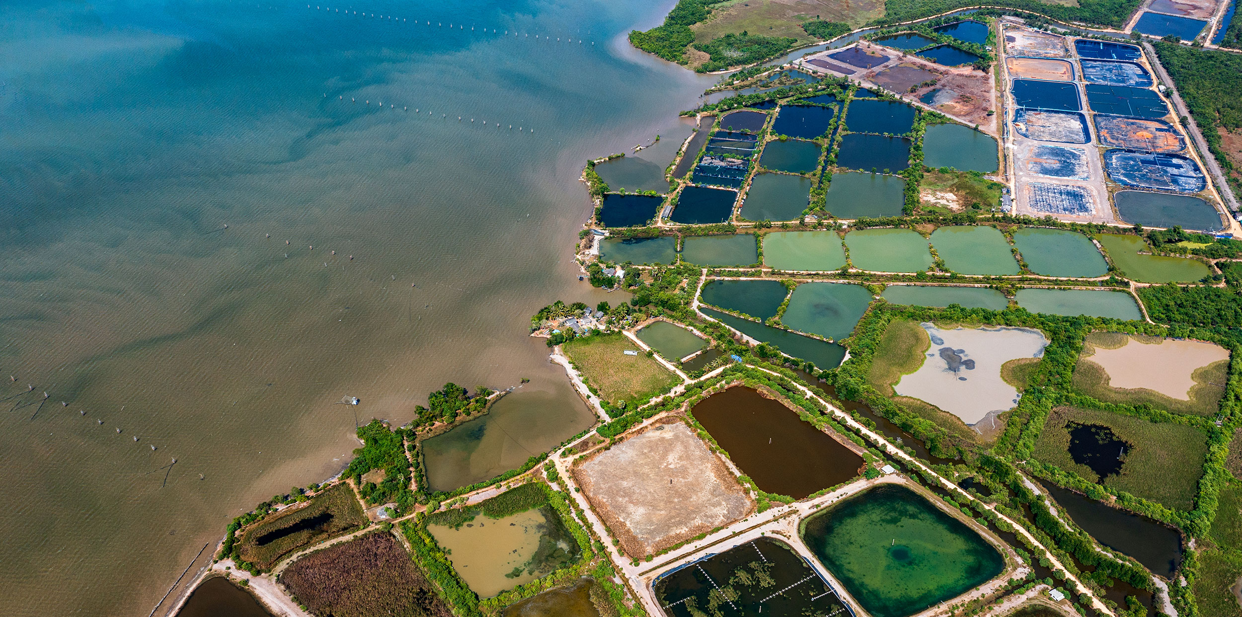 Bird's-eye view of shrimp farms on the coast of the Gulf of Thailand.