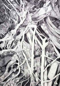 "Dissection" by Amy Teager