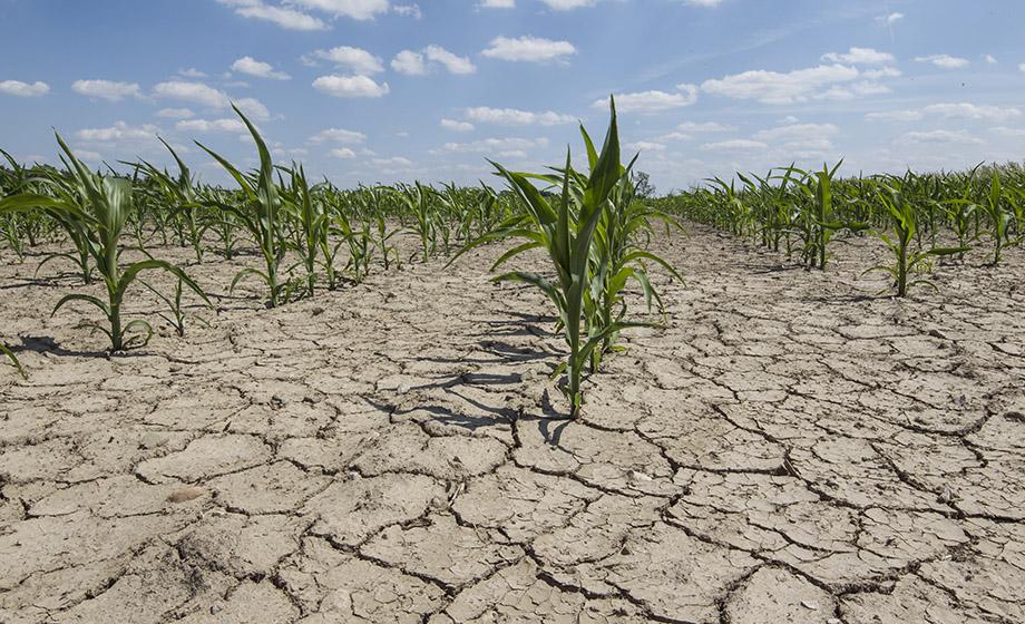 Clark experts to serve as lead authors on report by Intergovernmental Panel on Climate Change