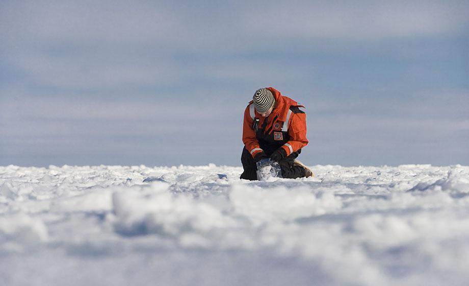 ICESCAPE scientists announce stunning discovery under Arctic ice