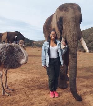 Marissa Callender interacted with amazing wildlife during her internship with Africa Media.