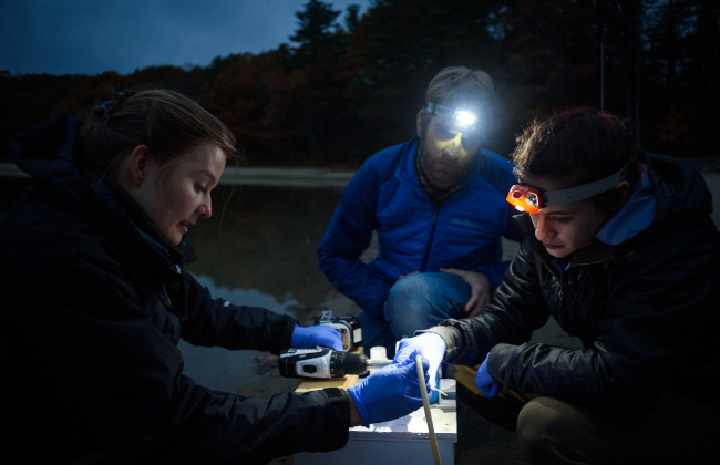 Students and faculty conducting field research