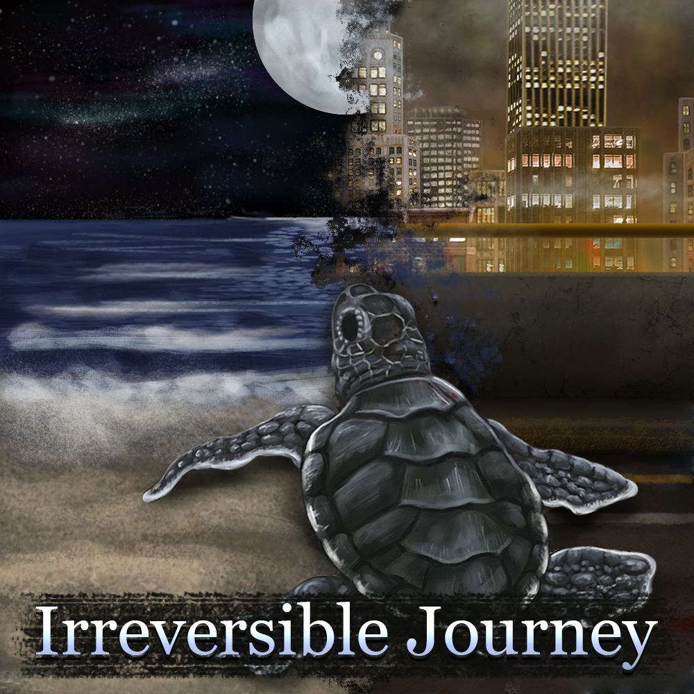 drawing of irreversible journey of a turtle