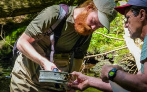 Environmental professors in the field collecting water samples