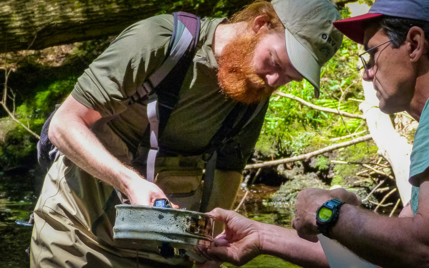 Environmental professors in the field collecting water samples