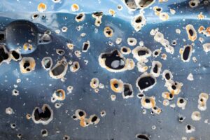 car door riddled with bullet holes
