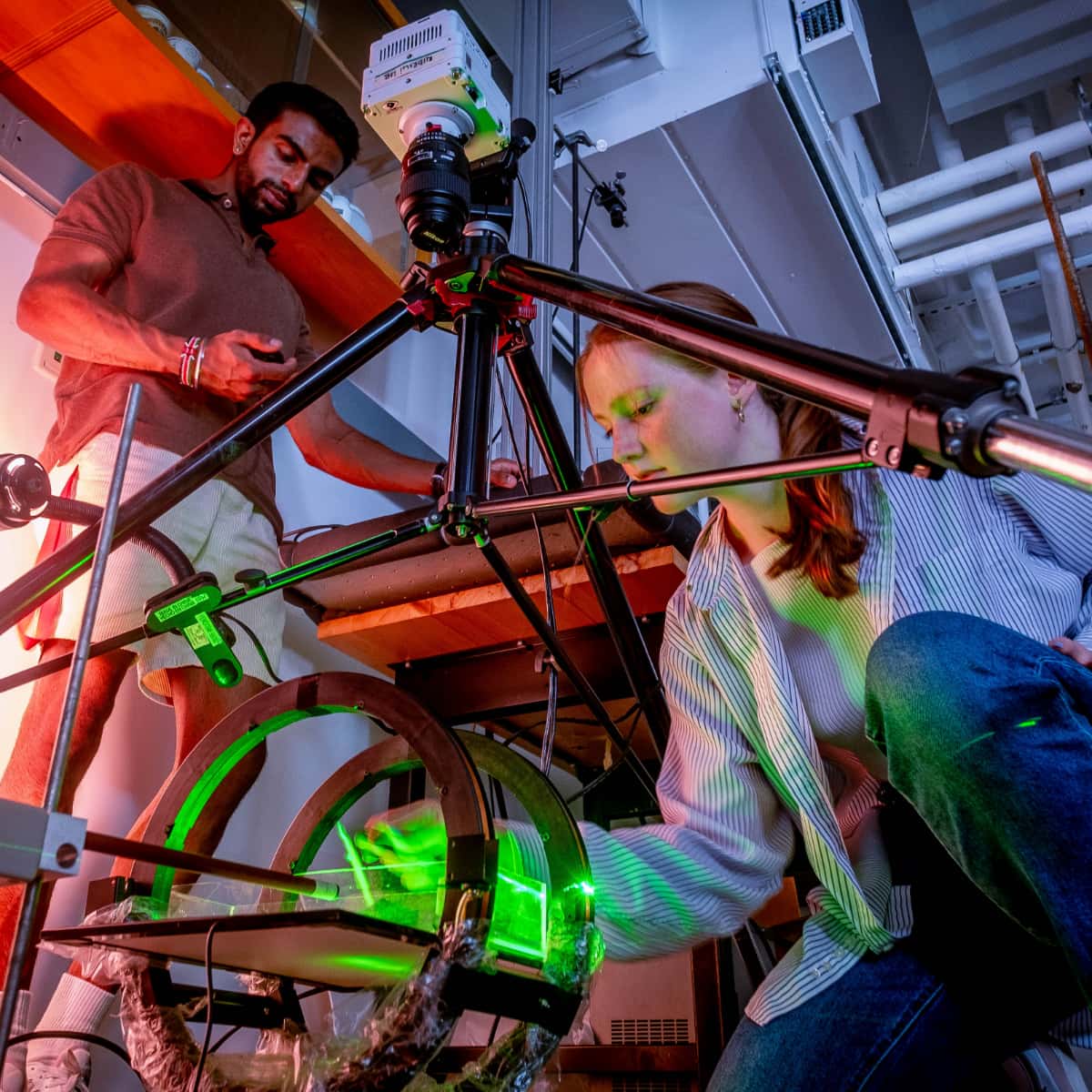 students in the physics lab