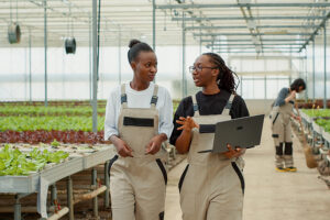 sustainable consumption and production: two women in green house with laptops