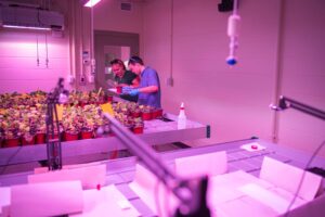 Researchers working in the EPIC greenhouse, Clark University