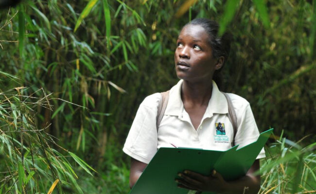 Graduate student walking through tropical fores