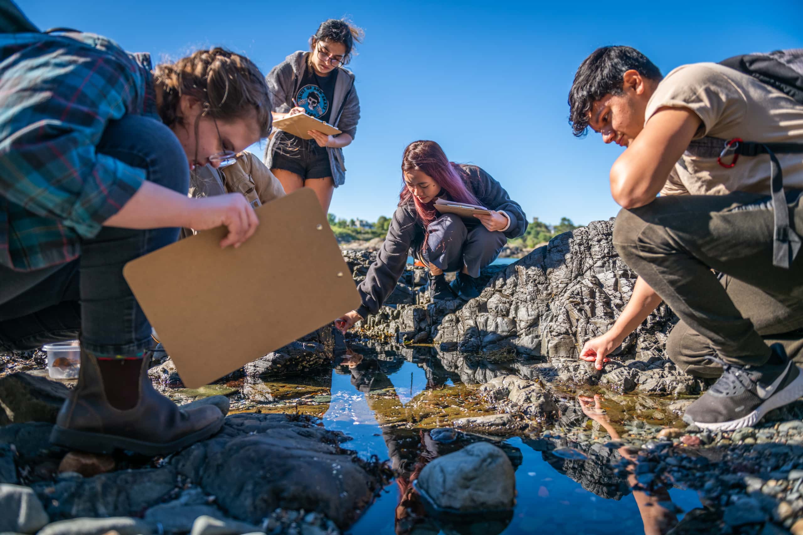 students study an estuary
