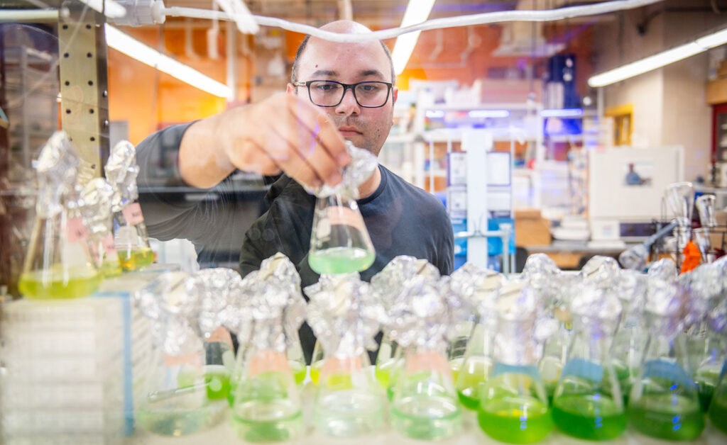 A student in Nathan Ahlgren's lab handles water samples from Narragansett Bay