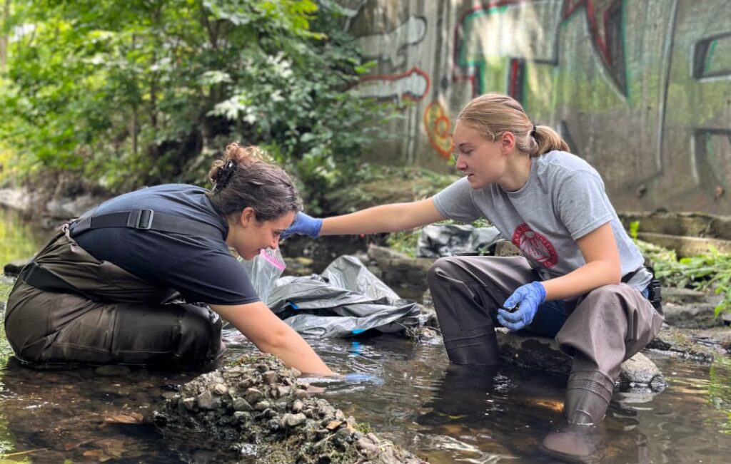 Students work on a project to clean up pollution in Beaver Brook