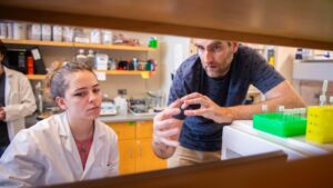 Biology Professor Nathan Ahlgren and a student in the lab investigating how iron nourishes and shapes the adaptation of Synechococcus.