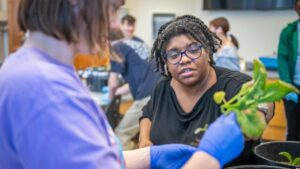Biology Professor Chandra Jack studying plant microbe interactions in her lab