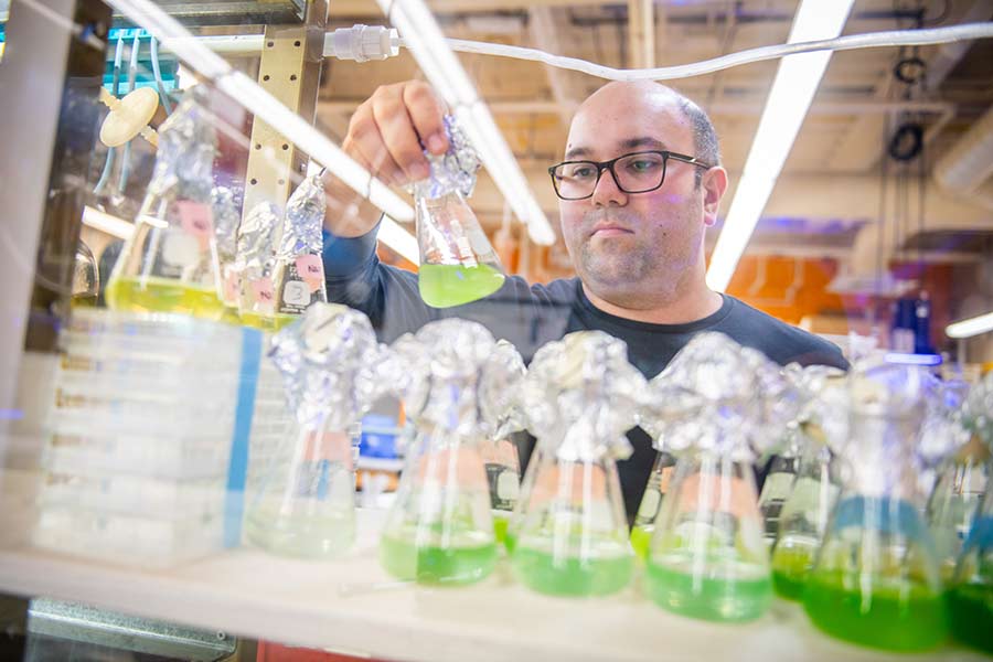 A student examining water samples taken from Narragansett Bay
