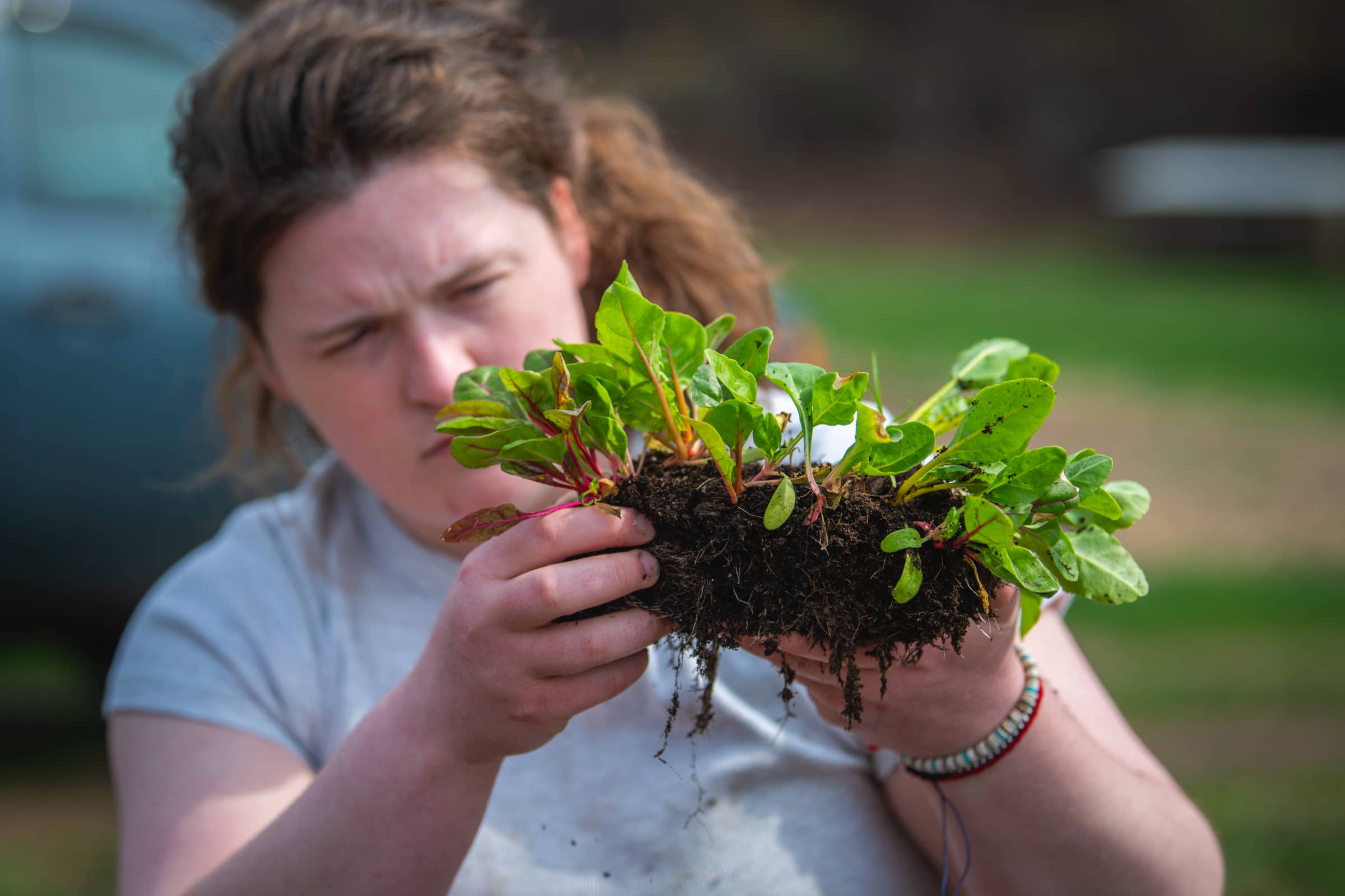 a student inspects crops